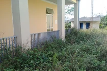 Sau khi sáp nhập xã, nhiều trụ sở để thả bò, cỏ mọc um tùm