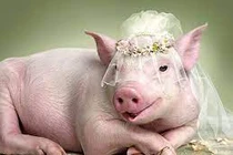 Từ Rằm tháng 3: 3 con giáp được Thần Tài điểm tên 