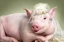 Từ Rằm tháng 3: 3 con giáp được Thần Tài điểm tên 