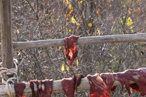 Những cơn mưa kỳ dị nhất quả đất, đến chuyên gia cũng "rối não" 