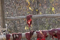 Những cơn mưa kỳ dị nhất quả đất, đến chuyên gia cũng "rối não" 