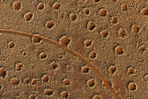 Vòng tròn thần bí trên sa mạc hé mở bí mật?