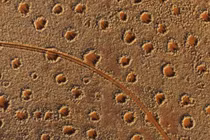 Vòng tròn thần bí trên sa mạc hé mở bí mật?