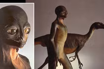 "Sững người" với cư dân Trái đất tiến hóa từ... khủng long