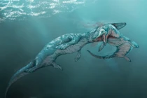 Tàn khốc màn săn mồi của "ác quỷ" biển sâu