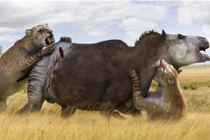 Rợn người xem quái thú răng kiếm “thịt” mồi