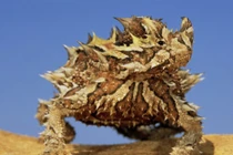 Điểm mặt những quái vật “chui lên từ địa ngục”