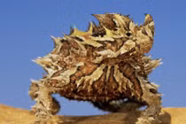 Điểm mặt những quái vật “chui lên từ địa ngục”