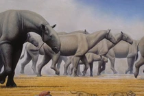 Tận mục loài động vật có vú “khủng' nhất từng tồn tại