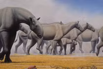 Tận mục loài động vật có vú “khủng' nhất từng tồn tại