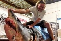 Những thủy quái khủng bị con người chinh phục (16)