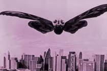 Những loài sâu bọ kích thước “to đại tướng“