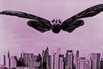 Những loài sâu bọ kích thước “to đại tướng“