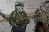 Khi động vật tỏ ra nguy hiểm với vũ khí