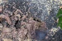 Nguyên nhân gây cháy ở “hố tử thần” vẫn là ẩn số