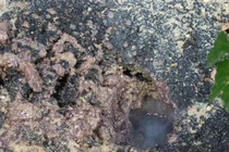 Nguyên nhân gây cháy ở “hố tử thần” vẫn là ẩn số