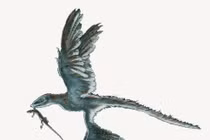 Những loài khủng long có hình dáng ngớ ngẩn không đỡ nổi