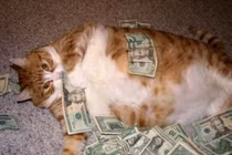 Những tên tù động vật quái lạ nhất thế giới