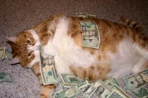 Những tên tù động vật quái lạ nhất thế giới