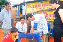 Vụ cá sấu “sủa như chó“: Các chuyên gia nói gì?