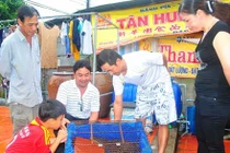 Vụ cá sấu “sủa như chó“: Các chuyên gia nói gì?