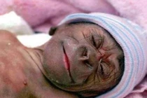 Sự thật về Humanzee - con lai giữa người và tinh tinh