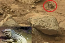 Điểm danh động vật “trú ngụ” trên sao Hỏa