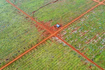 Phát hiện nhiều bom mìn tại mặt bằng sân bay Long Thành