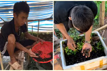 Chàng trai 23 tuổi khởi nghiệp ở quê, doanh thu 2 tỷ đồng/năm