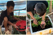 Chàng trai 23 tuổi khởi nghiệp ở quê, doanh thu 2 tỷ đồng/năm