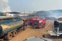 Điều tra vụ hỏa hoạn trong bãi gỗ Chi cục Hải quan Hoàng Diệu ở Bình Phước