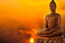 Con người ai cũng có một con bò, càng sợ mất thì khó mà an nhiên