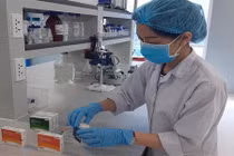 Nanogen xin cấp phép khẩn cấp cho vaccine Nanocovax sản xuất tại TP.HCM