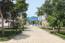 TP.HCM thêm 2 bệnh viện dã chiến, chuẩn bị kịch bản có 10.000 ca COVID-19