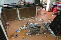 Vợ sắp cơm thiếu đũa, chồng giận dữ hất tung tóe cả mâm