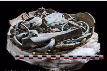 Vô tình tìm thấy “kho báu 3.000 năm”, giới khảo cổ dậy sóng