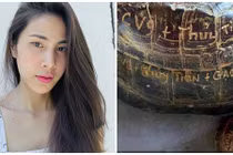 Tranh cãi gay gắt gia đình Thủy Tiên khắc tên lên mai rùa phóng sinh