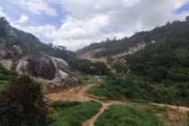 Khởi tố vụ án hơn 31.000m2 rừng bị “băm nát” tại Vũng Tàu