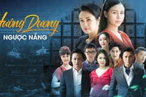 Giải mã lý do “Hướng dương ngược nắng” gây sốt