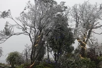 Băng tuyết phủ trắng cổng trời Sa Pa, du khách nườm nượp kéo đến check-in