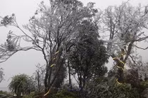 Băng tuyết phủ trắng cổng trời Sa Pa, du khách nườm nượp kéo đến check-in