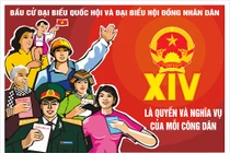 Quy trình bầu cử đại biểu Quốc hội khóa XV