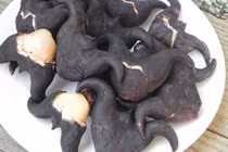 Nguy kịch sau khi uống rượu ngâm củ ấu tàu 