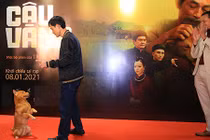 Cậu Vàng trình diễn ngoạn mục trên thảm đỏ ra mắt phim