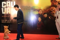 Cậu Vàng trình diễn ngoạn mục trên thảm đỏ ra mắt phim