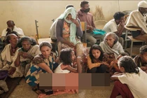 Nhiều nhân viên Liên hợp quốc bị bắt giữ tại Ethiopia