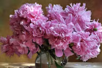 4 tháng sinh Âm lịch "thần thánh", vượng lộc lại vượng tài