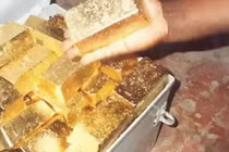 Làm cỏ ven vách đá, bất ngờ vấp trúng “kho báu” khủng toàn vàng