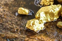 Cực nóng: Việt Nam phát hiện 40 mỏ vàng khủng, trữ lượng gần 30 tấn 