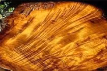 Đào được “báu vật” trong góc bếp, chàng trai đổi đời sau một đêm